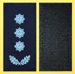 011 полковник  дснс